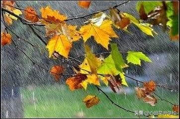 “秋雨歇复下，西风微自凉”100句关于秋雨的古诗词，你知道几句