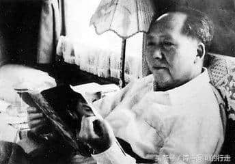 毛泽东诗词——《诉衷情》与陆游的《诉衷情》