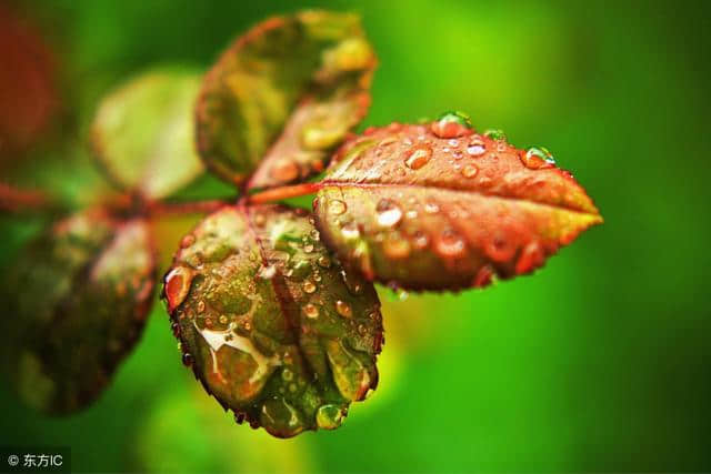 中华诗词：秋雨时节雨纷纷，你应该品读的九首描写秋雨诗词