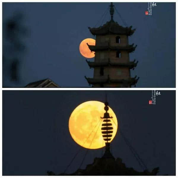 月满中秋｜你见过上海最美的月亮在哪里？