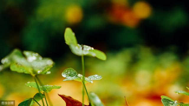 50句关于秋雨的诗句