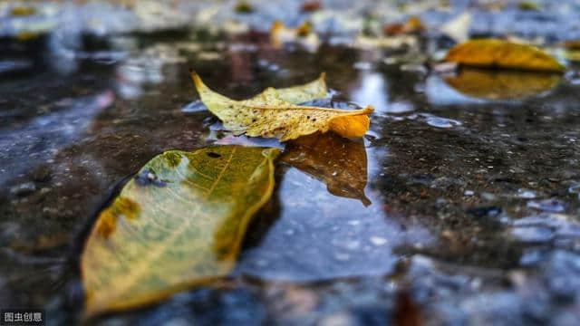 秋雨绵绵，与秋雨有关的诗词知多少