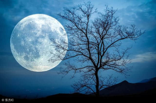 每日诗词：“露从今夜白，月是故乡明”