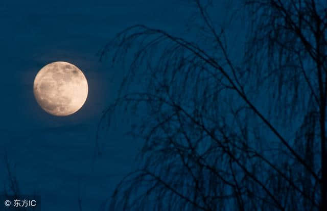每日诗词：“露从今夜白，月是故乡明”