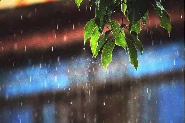 「诗词鉴赏」一番秋雨一番凉—穿越千年 共看秋雨之美