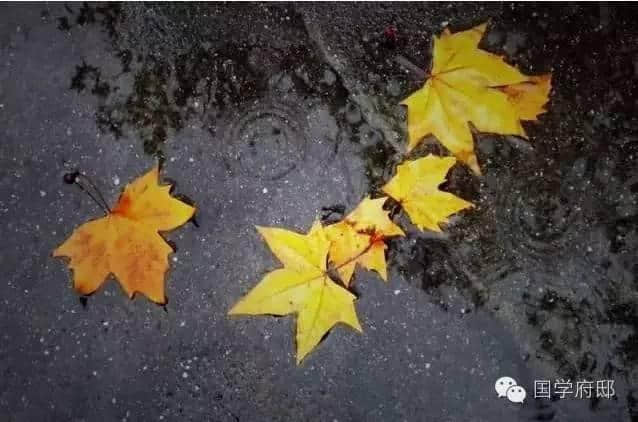 秋天的雨，绵绵不绝，盘点哪些凄美绝伦的关于秋雨的古诗词