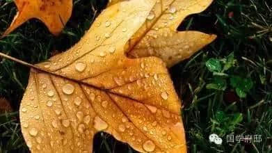 秋天的雨，绵绵不绝，盘点哪些凄美绝伦的关于秋雨的古诗词