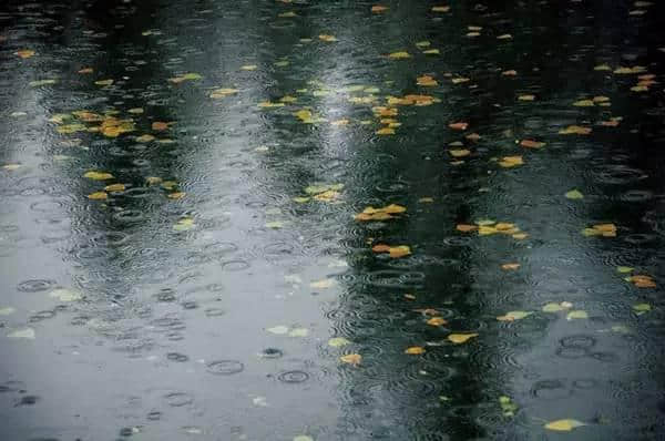 描写秋雨的古诗词