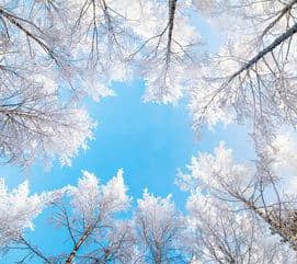 下雪啦 一起欣赏十首关于雪的诗词，莫让良辰好景虚设！