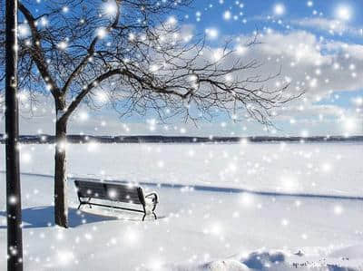 下雪啦 一起欣赏十首关于雪的诗词，莫让良辰好景虚设！