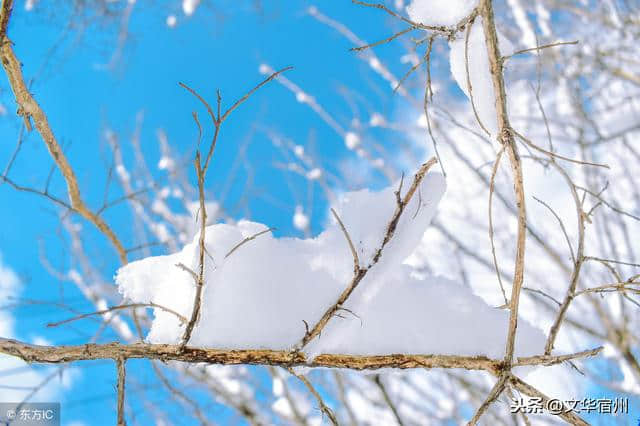 分享几首描写大雪的诗句