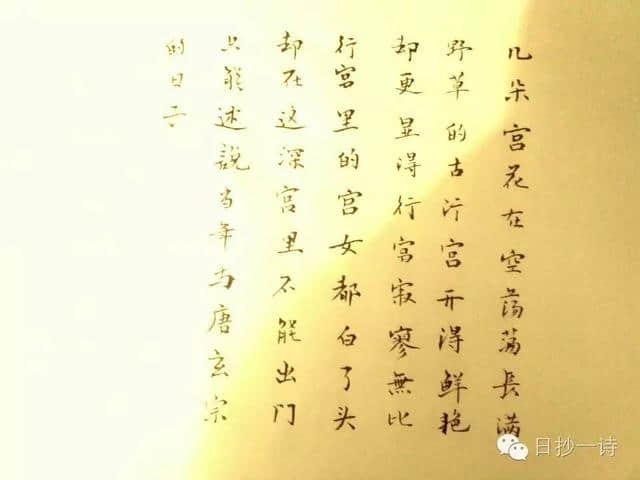 日抄一诗：唐元稹《行宫》