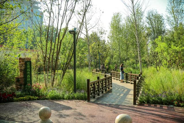 园林人为祖国庆生——北京中轴线上的新亮点：安德城市森林公园