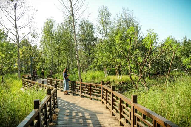 园林人为祖国庆生——北京中轴线上的新亮点：安德城市森林公园