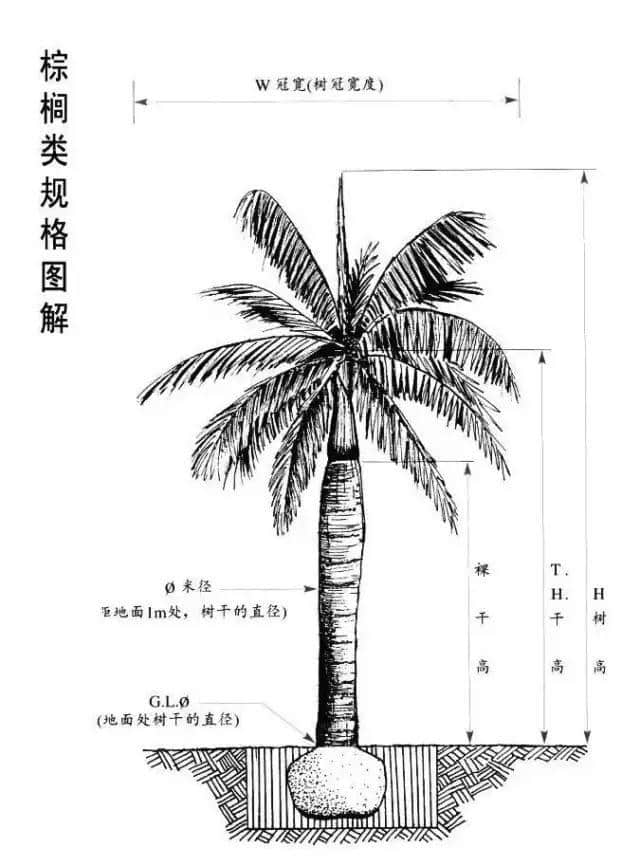 写给园林人的专业知识！