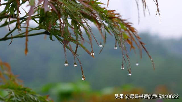 一场秋雨一场寒，古人留下了许多关于秋雨的古诗句，一起欣赏一下