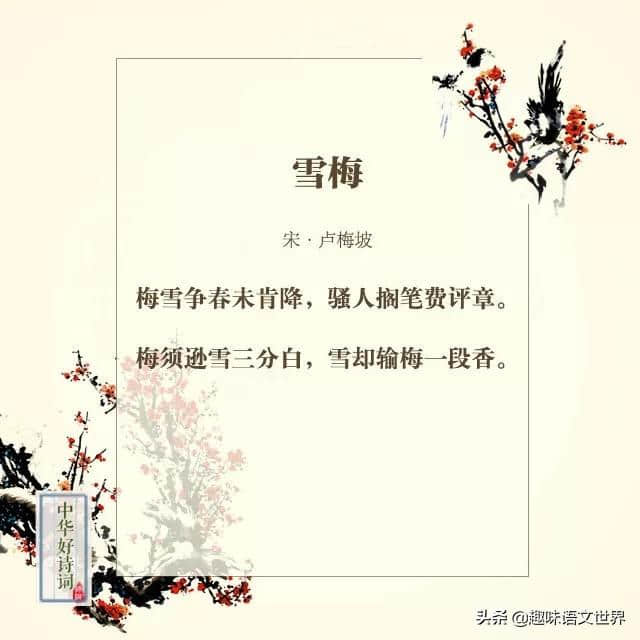 那些与梅花有关的诗词~