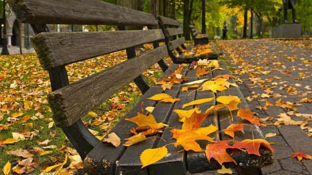 12首秋日诗词：木叶落，雁南飞，正是天凉好个秋