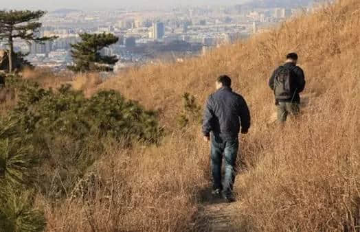 新春走基层｜记大年三十里坚守的园林人