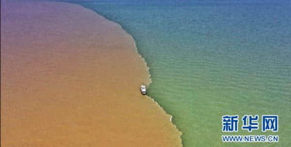 “黄河入海、我们回家”绘就绿色发展新画卷