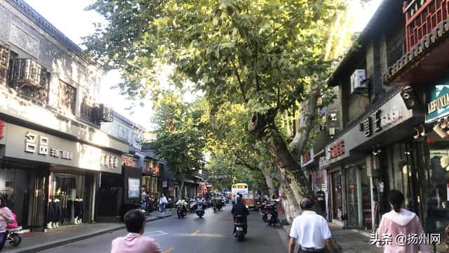 “东方红 绿杨春”系列之国庆路：一座城的繁华坐标