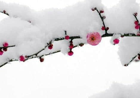 2017年的最后一个节气，一起欣赏几首关于冬至的诗词