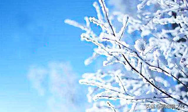 今日霜降，他与李白、杜甫同入五贤祠，写了一首寓意非凡的霜降诗