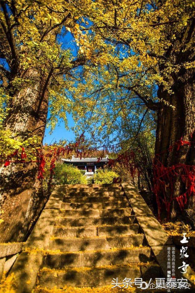 深秋的泰山玉泉寺 惊艳了时光 感觉穿越了世界
