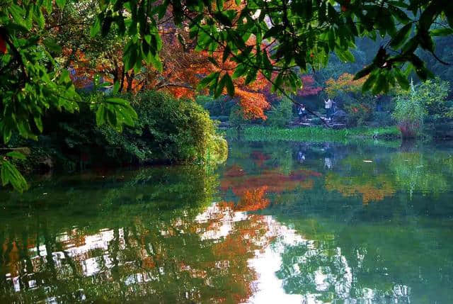 秋天去杭州这些地方秋游、野餐！免费又好看