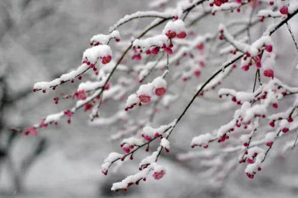 「诗词鉴赏」在最美的宋词里，邂逅唯美至极的冬天！