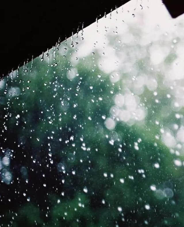 雨打芭蕉夜，坐窗听雨眠