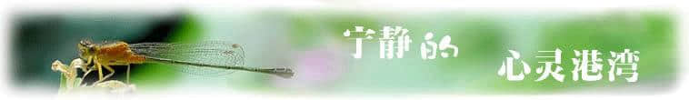 「雅韵阁」立志修身、立德树人、成就一生、世代传承的经典名言