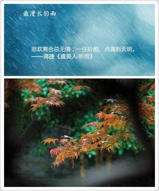 秋雨绵绵，看看诗词中动人的九场雨