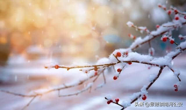 十首大寒诗词：旧雪未及消，新雪又拥户