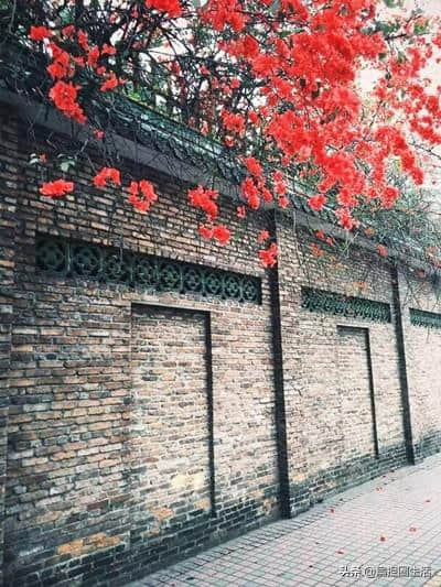 宋代诗人游园不遇，无意看到一枝红杏出墙，写下一首诗，流传千年