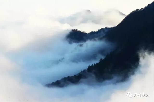 庐山云雾（美丽中国游）  ●金满安